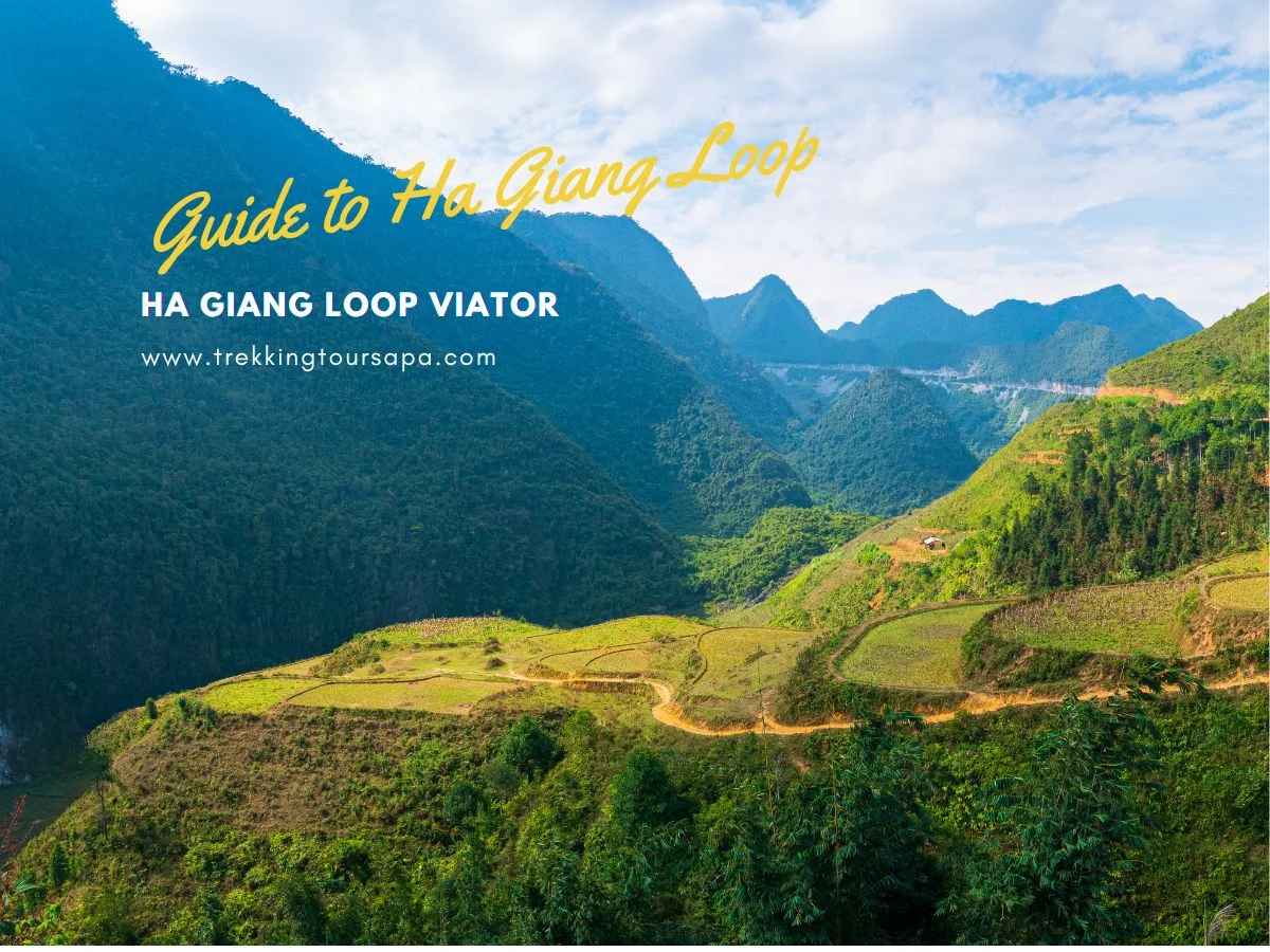 ha giang loop viator