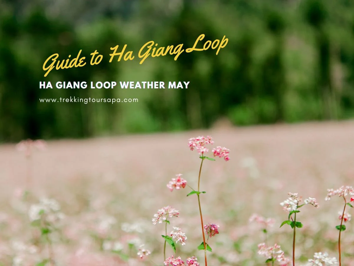 ha giang loop weather may