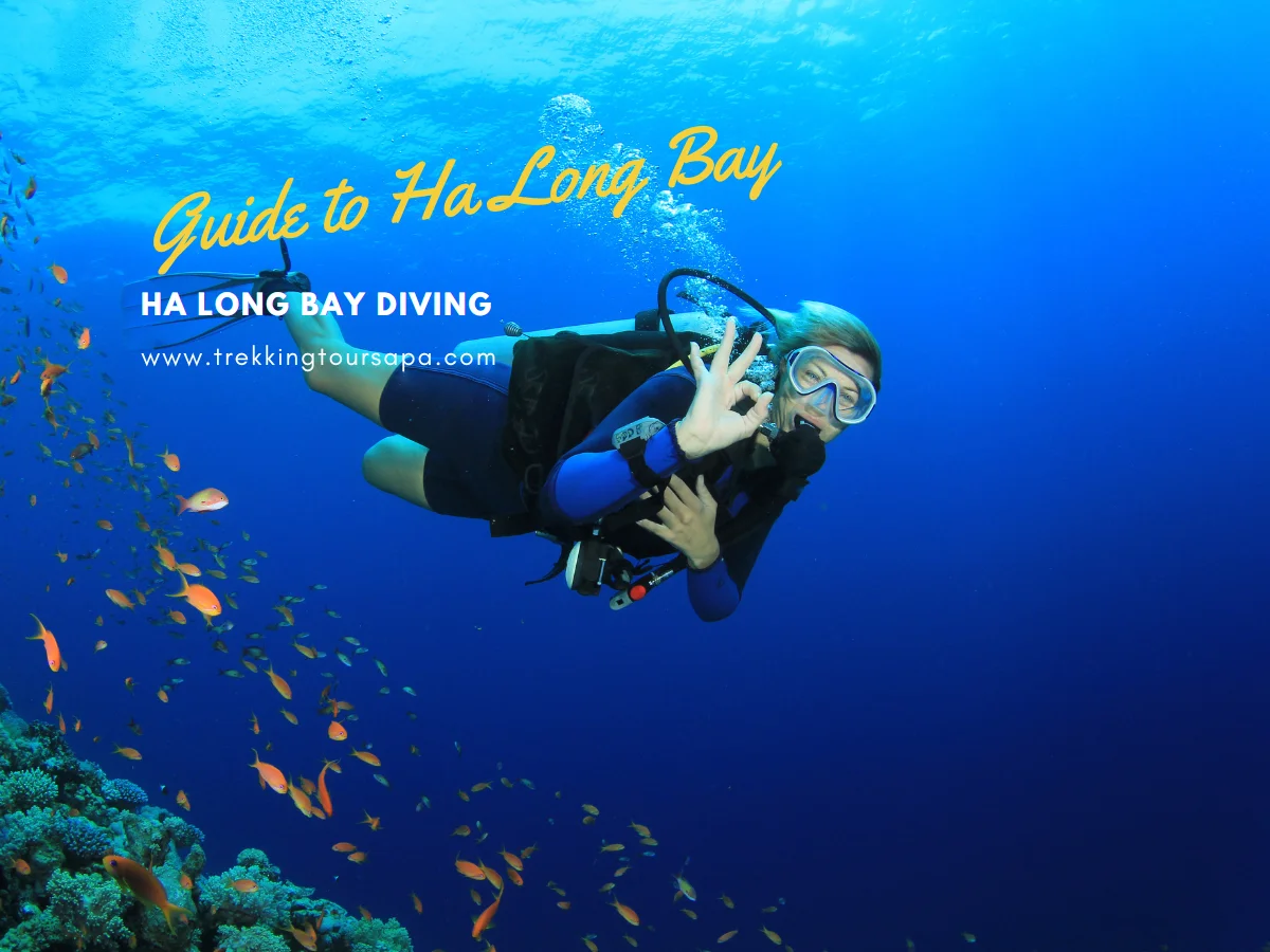 ha long bay diving