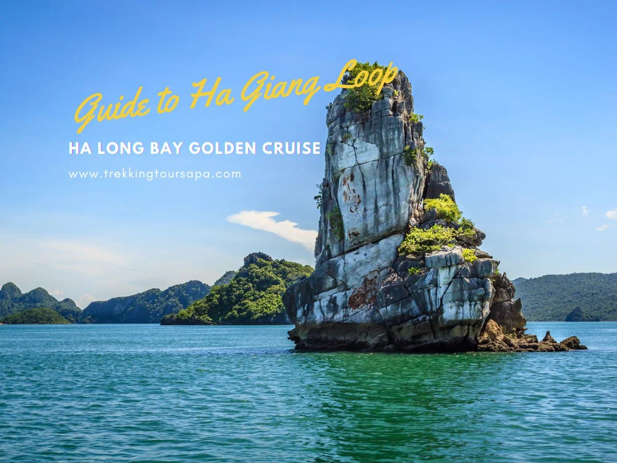 ha long bay golden cruise