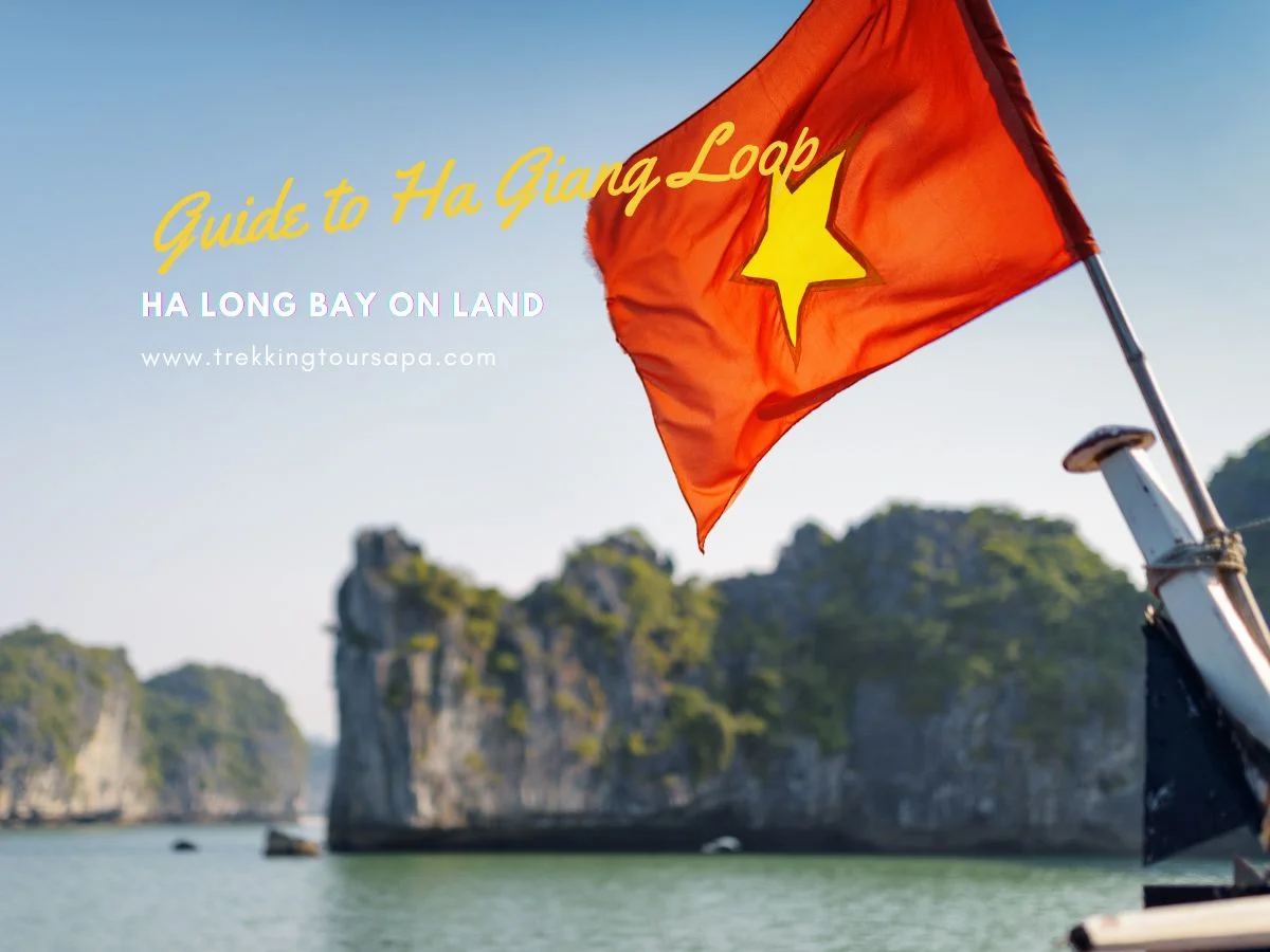 ha long bay on land