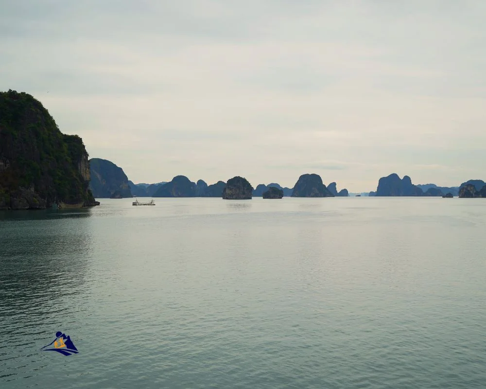 Experience The Best Ha Long Bay Cruise Tour With Us