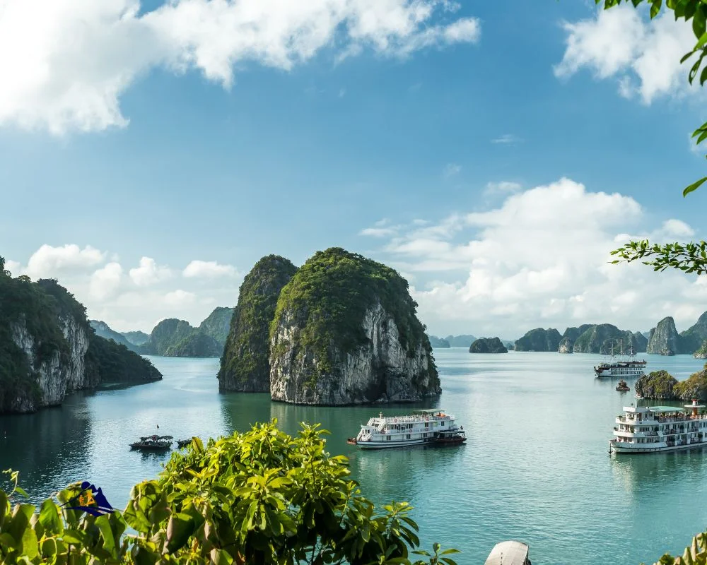 Experience A Day Trip To Ha Long Bay From Hanoi With Us!