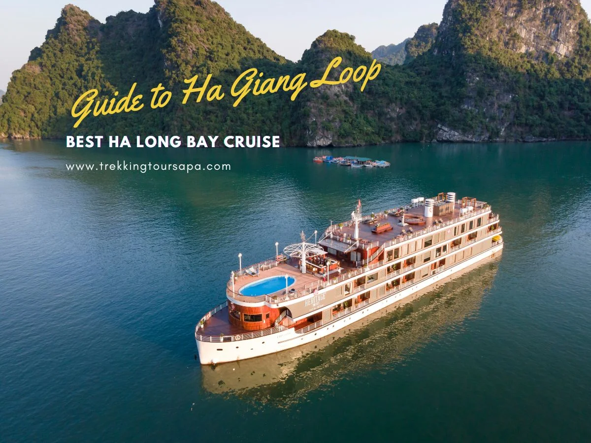 Discover The Best Ha Long Bay Cruise With Us Today!