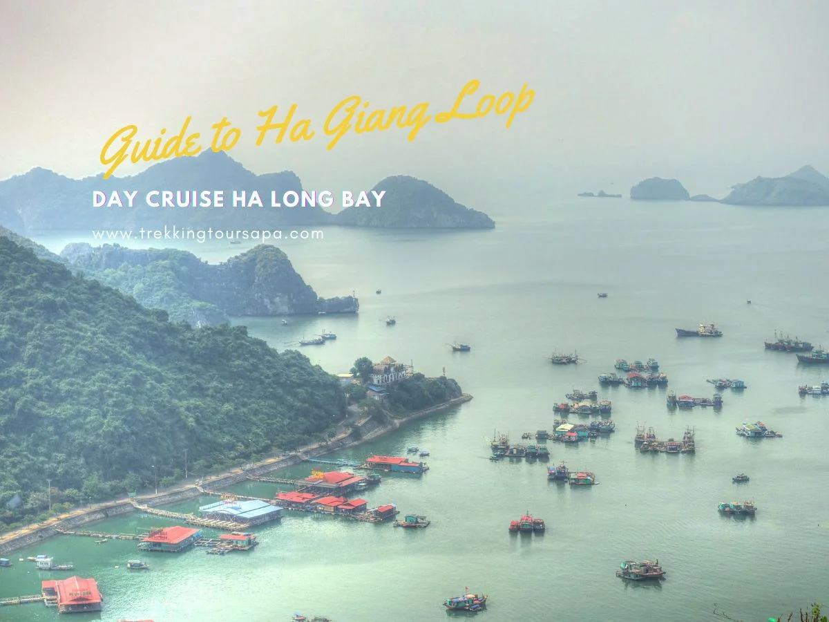 day cruise ha long bay