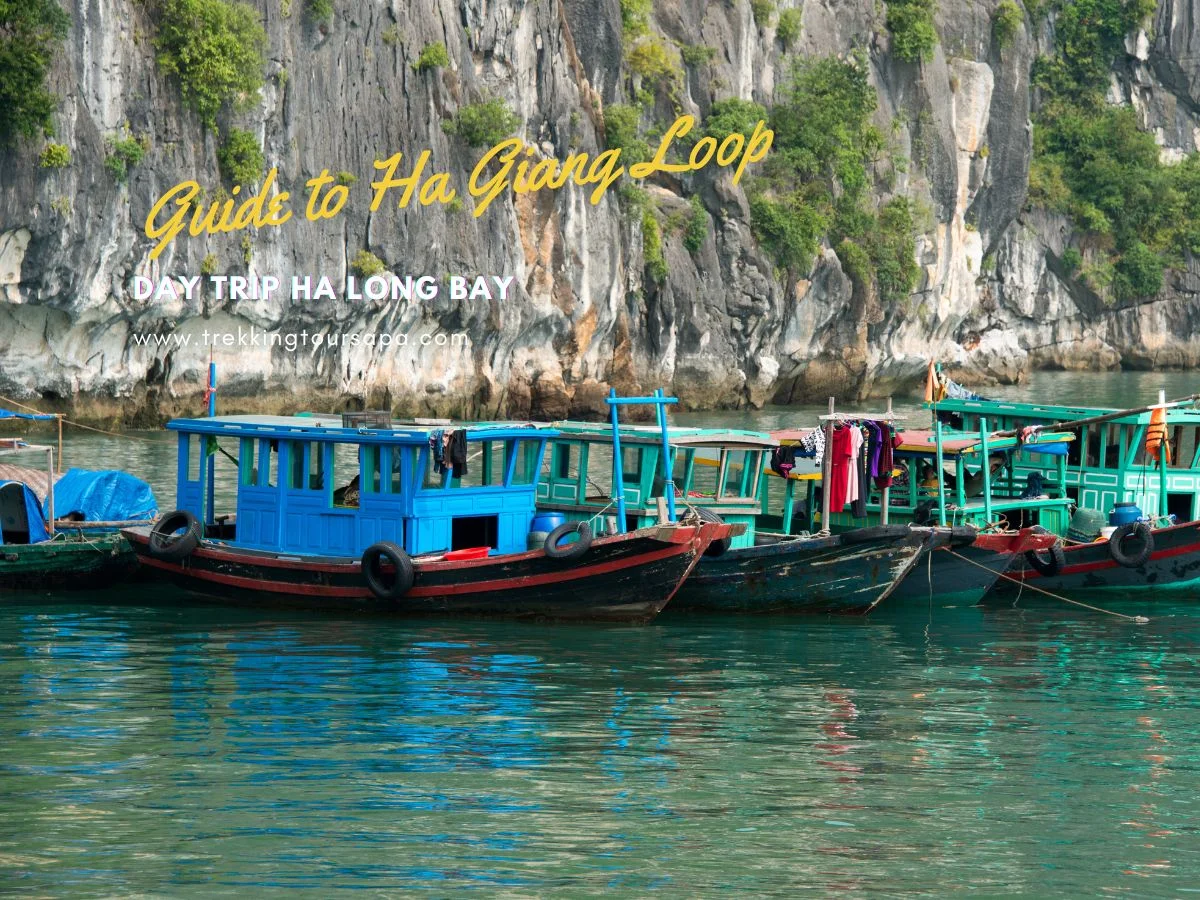 day trip ha long bay