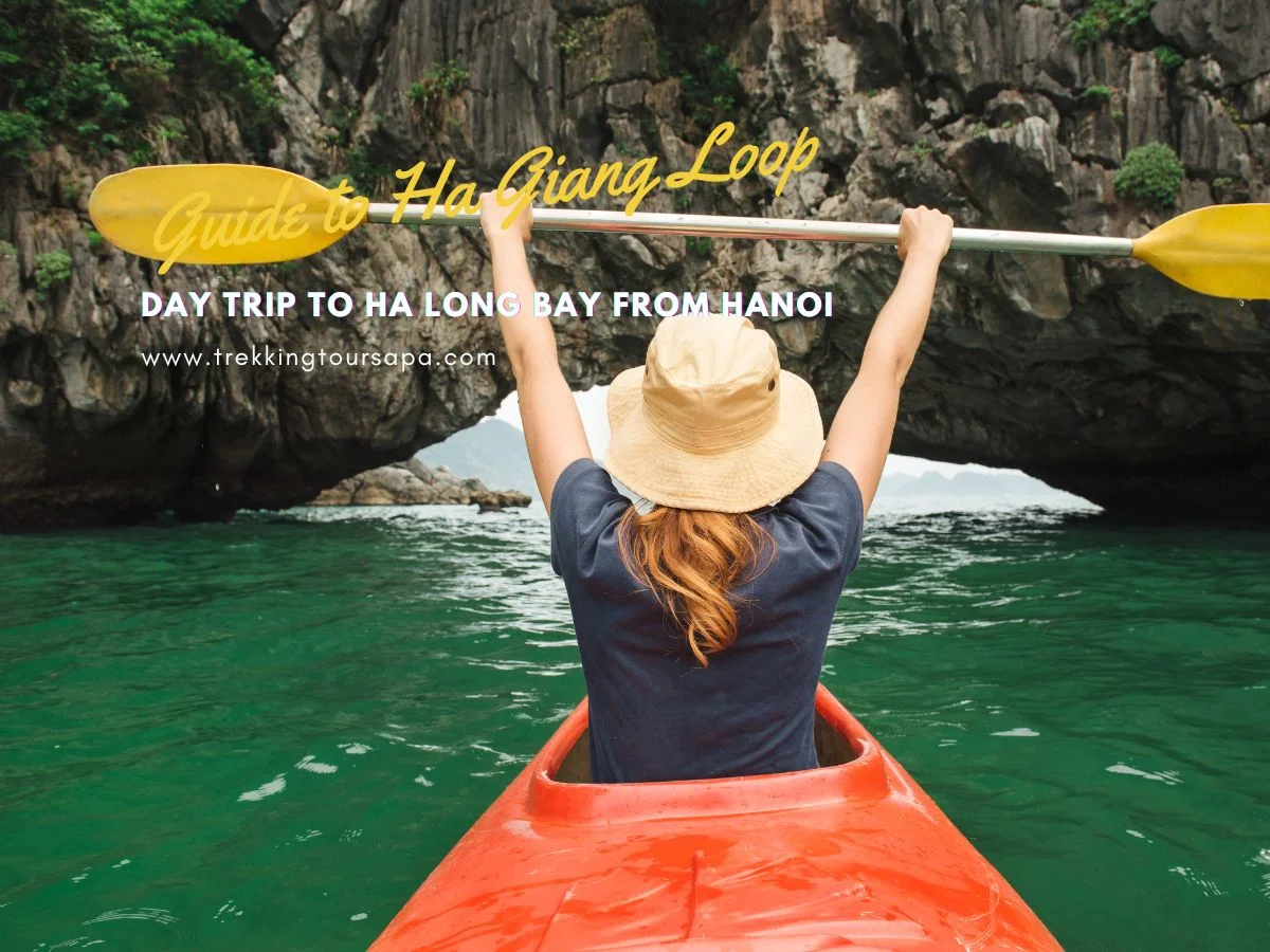 Experience A Perfect Day Trip From Hanoi To Ha Long Bay With Us!