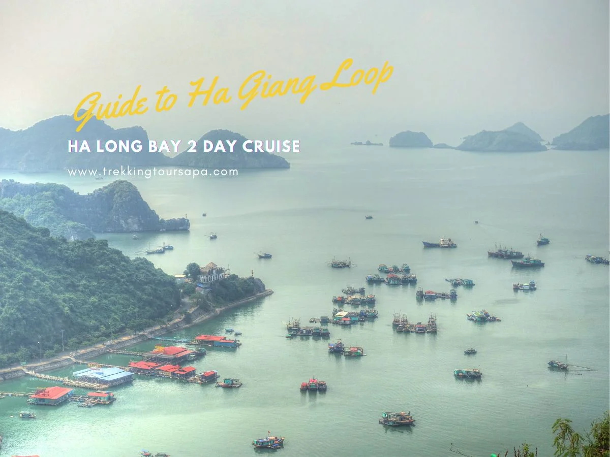 ha long bay 2 day cruise