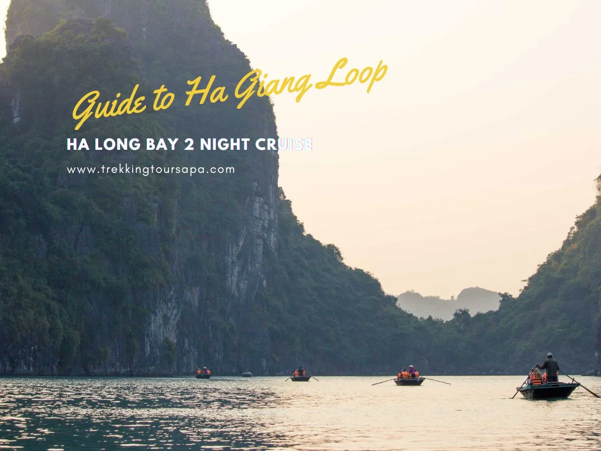 ha long bay 2 night cruise