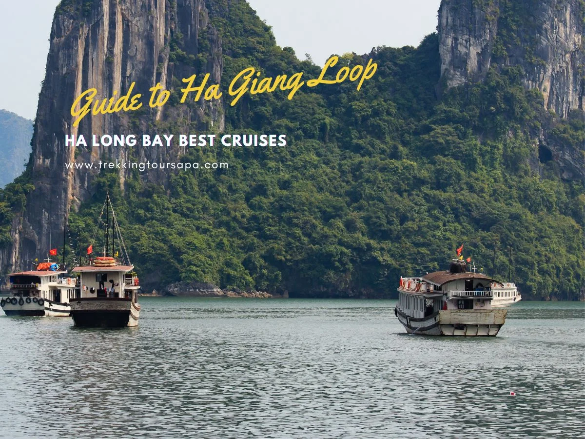 Experience Epic Views With Ha Long Bay Best Cruises!