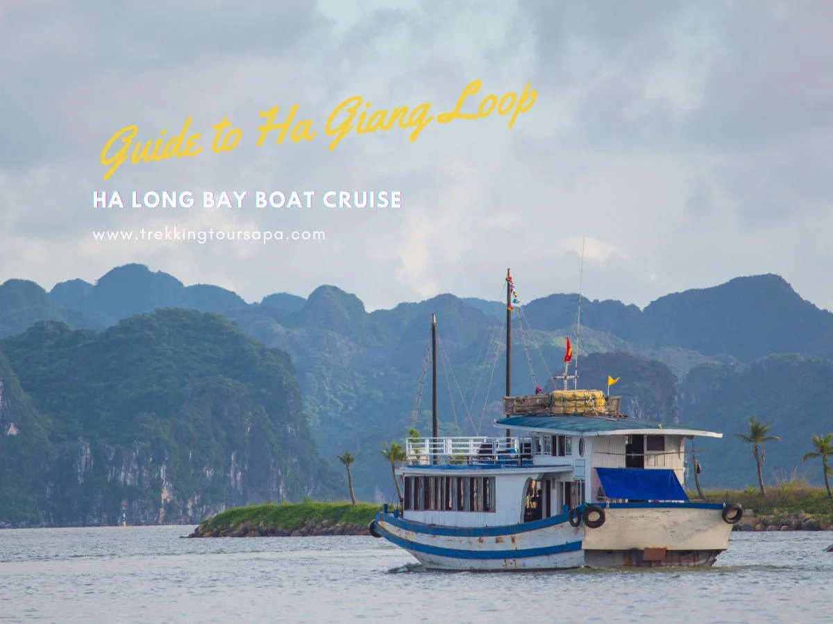 ha long bay boat cruise