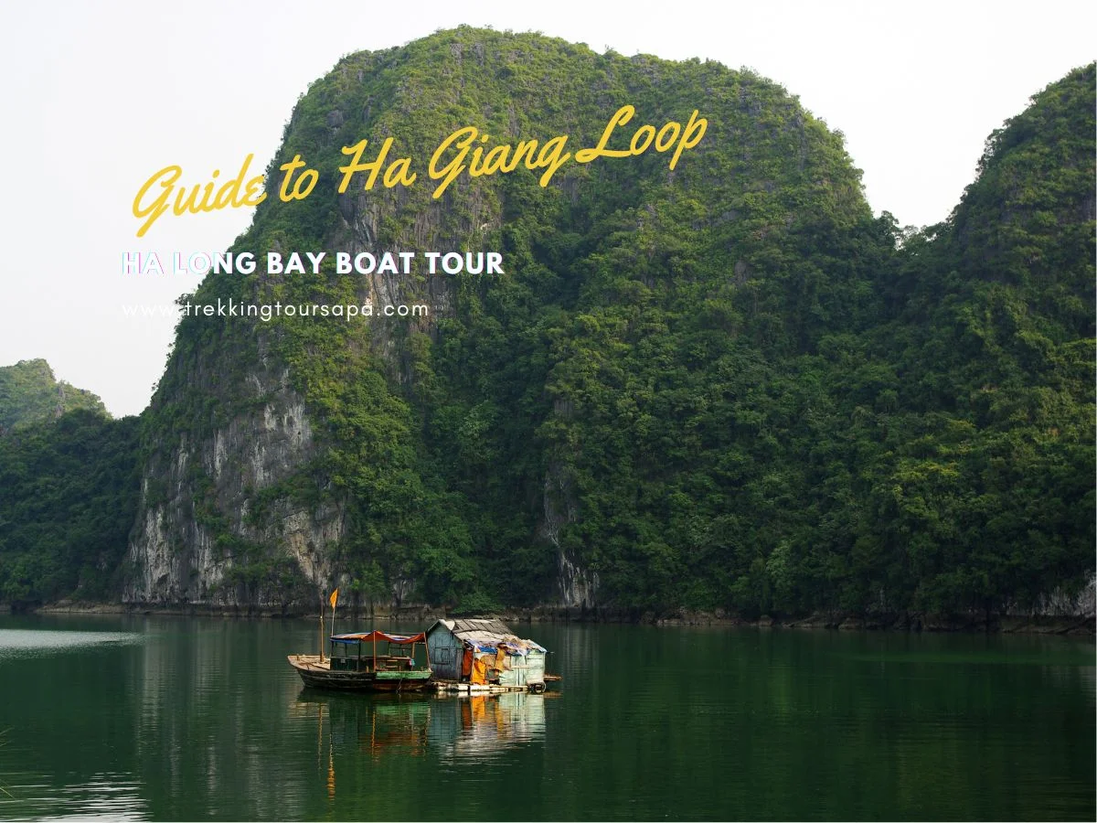 ha long bay boat tour