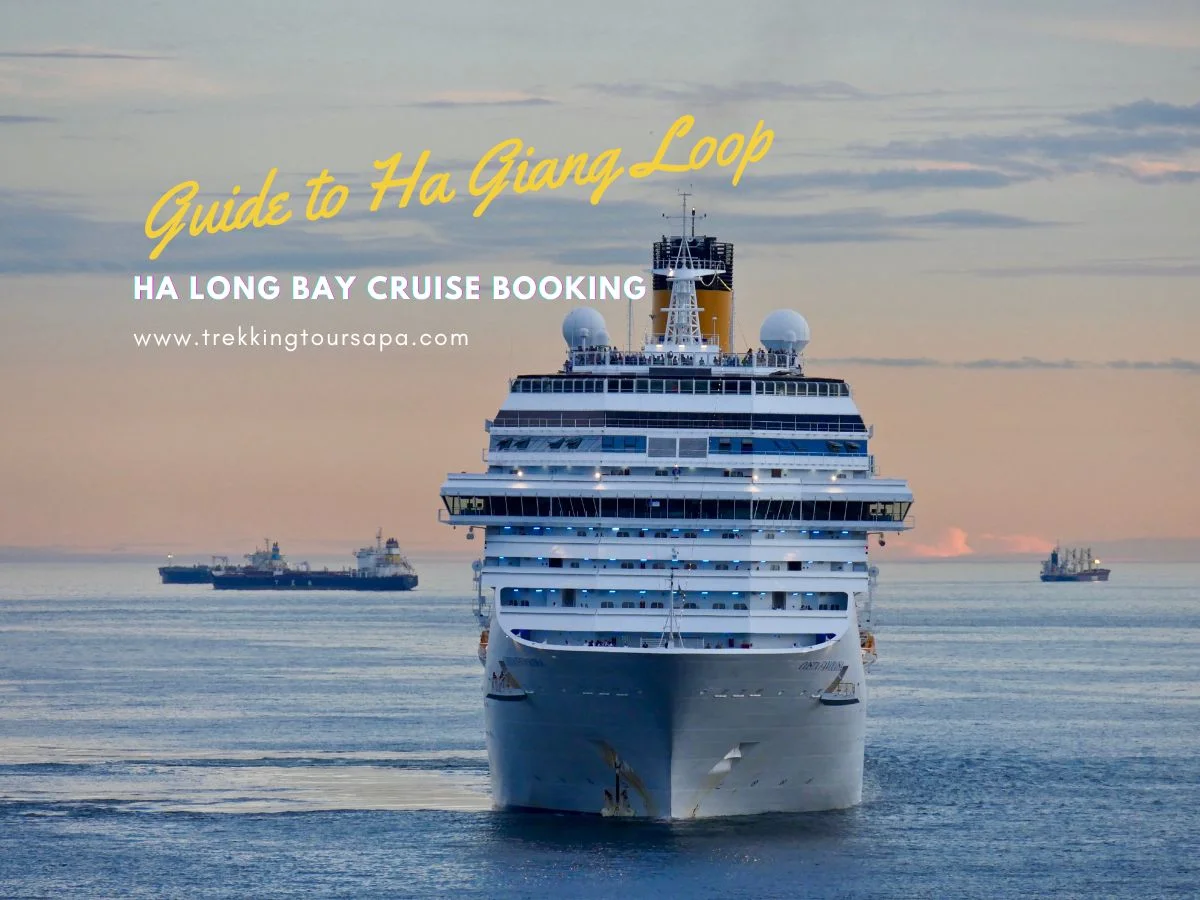 ha long bay cruise booking