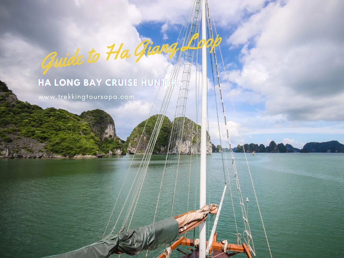 ha long bay cruise hunters