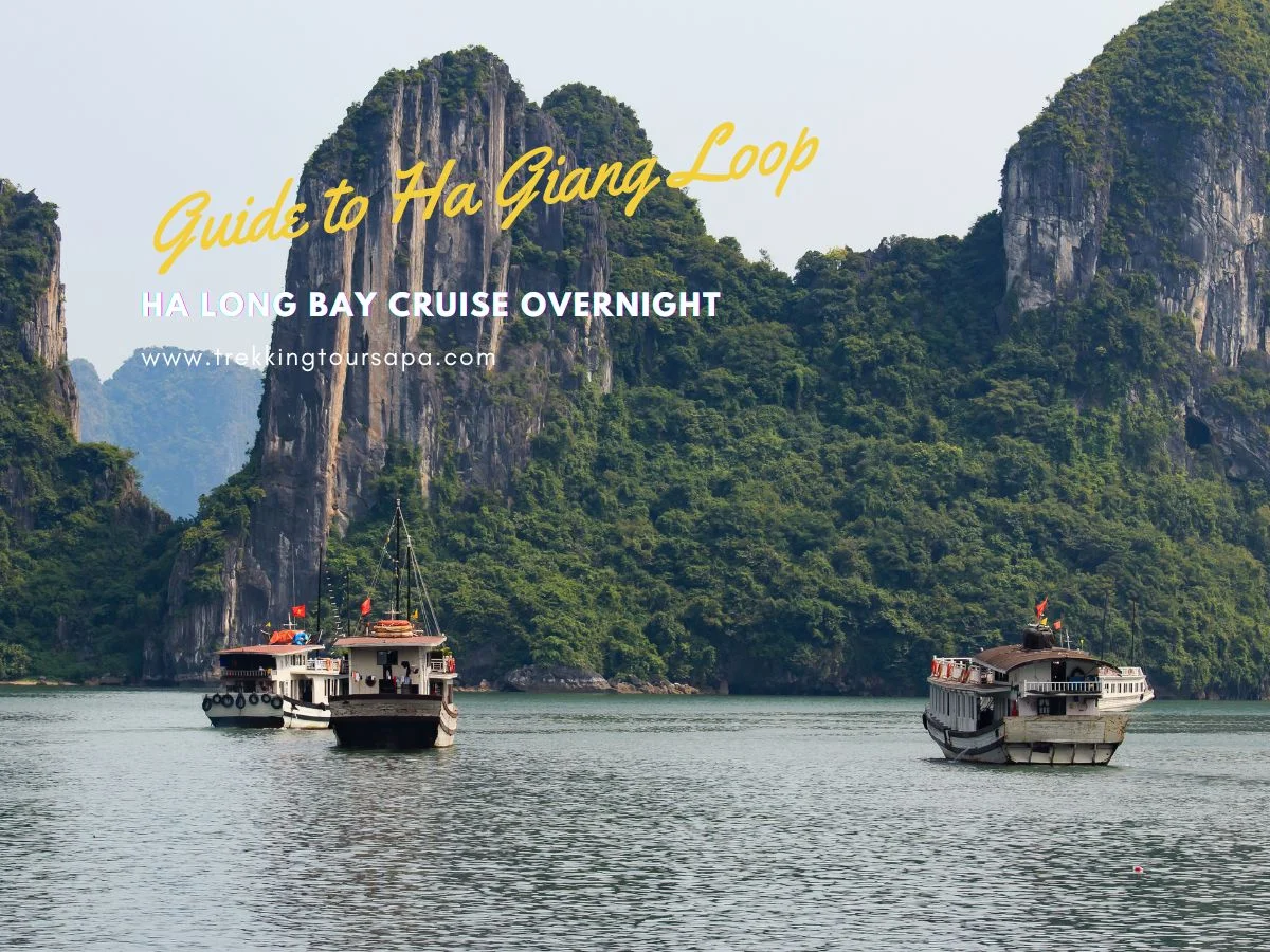 ha long bay cruise overnight