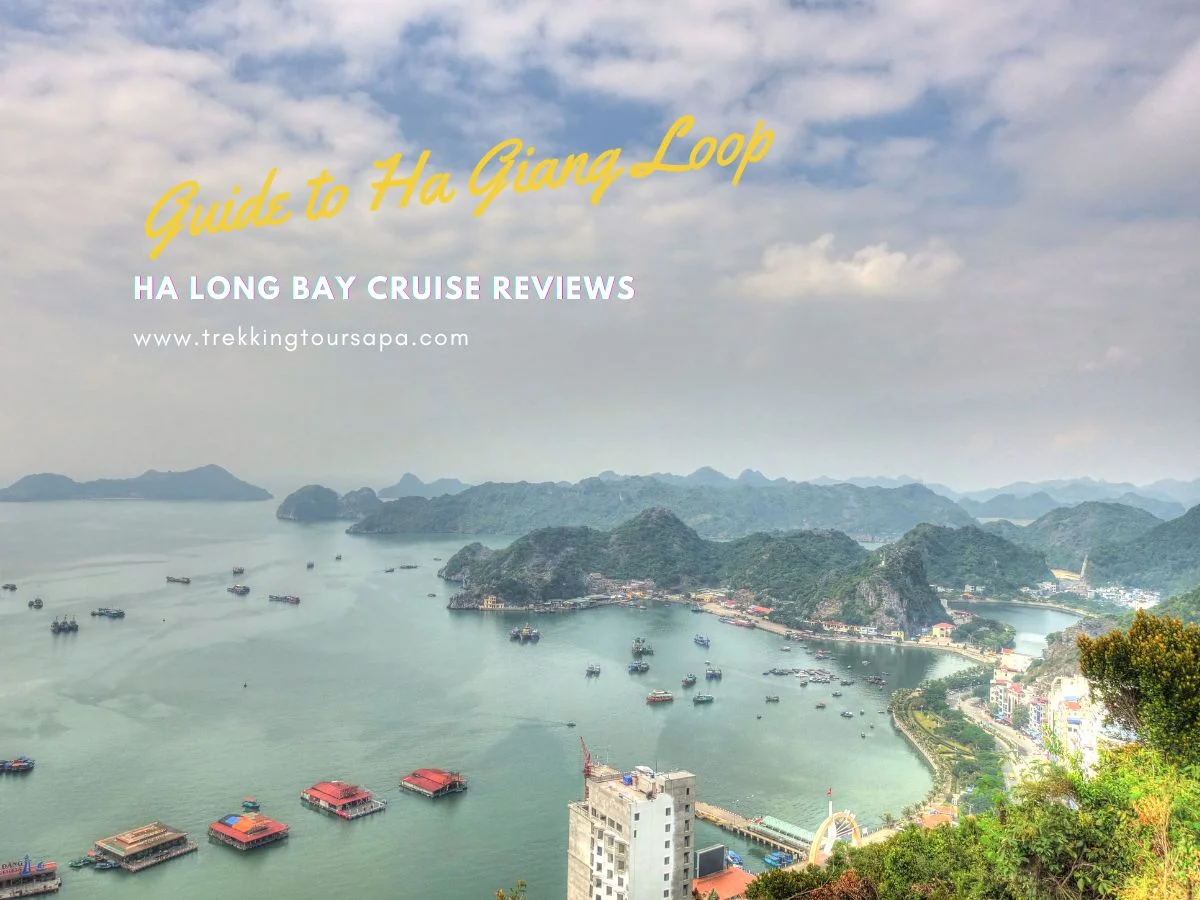 ha long bay cruise reviews