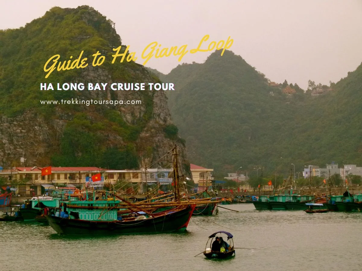 ha long bay cruise tour