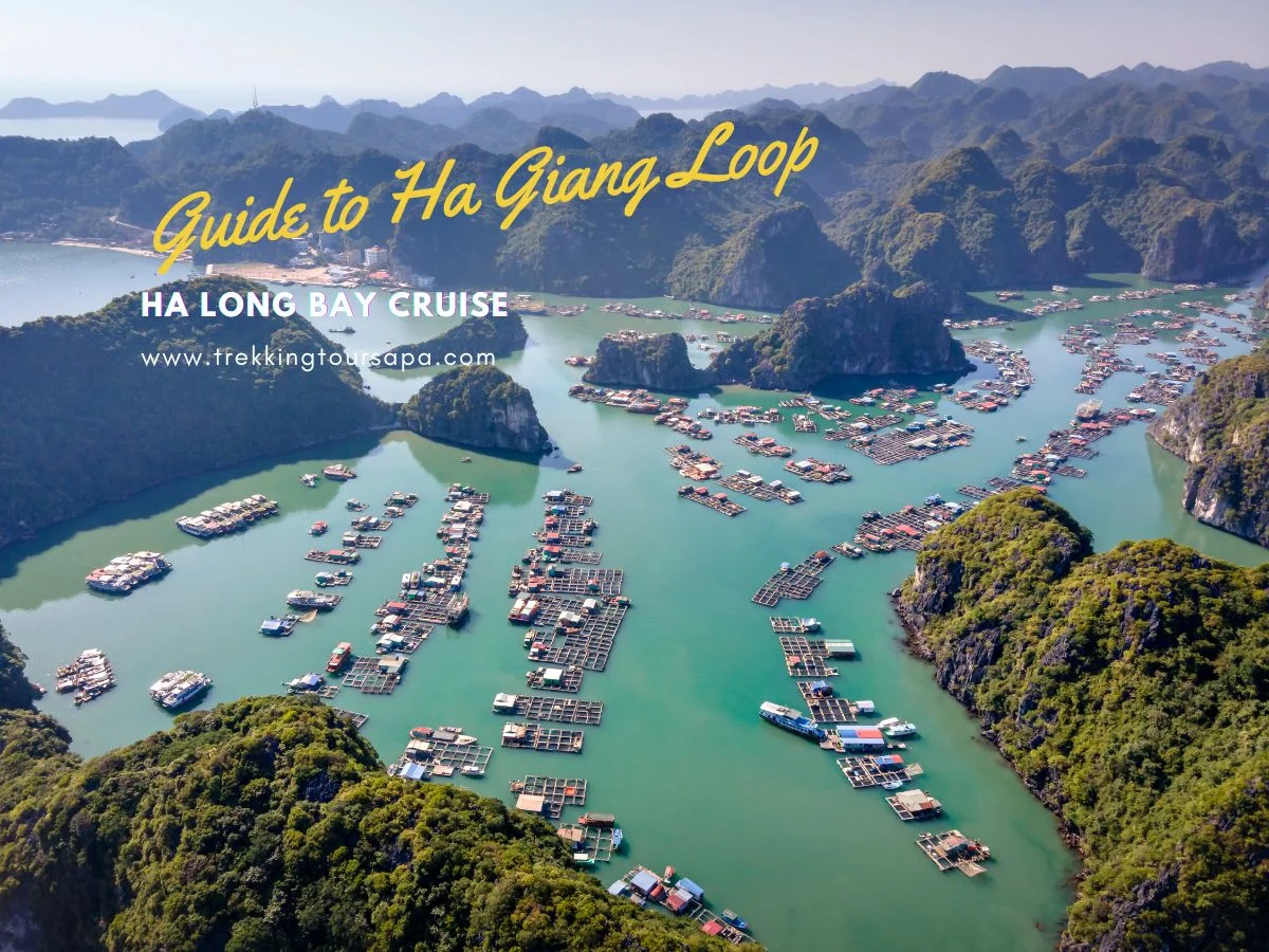 ha long bay cruise