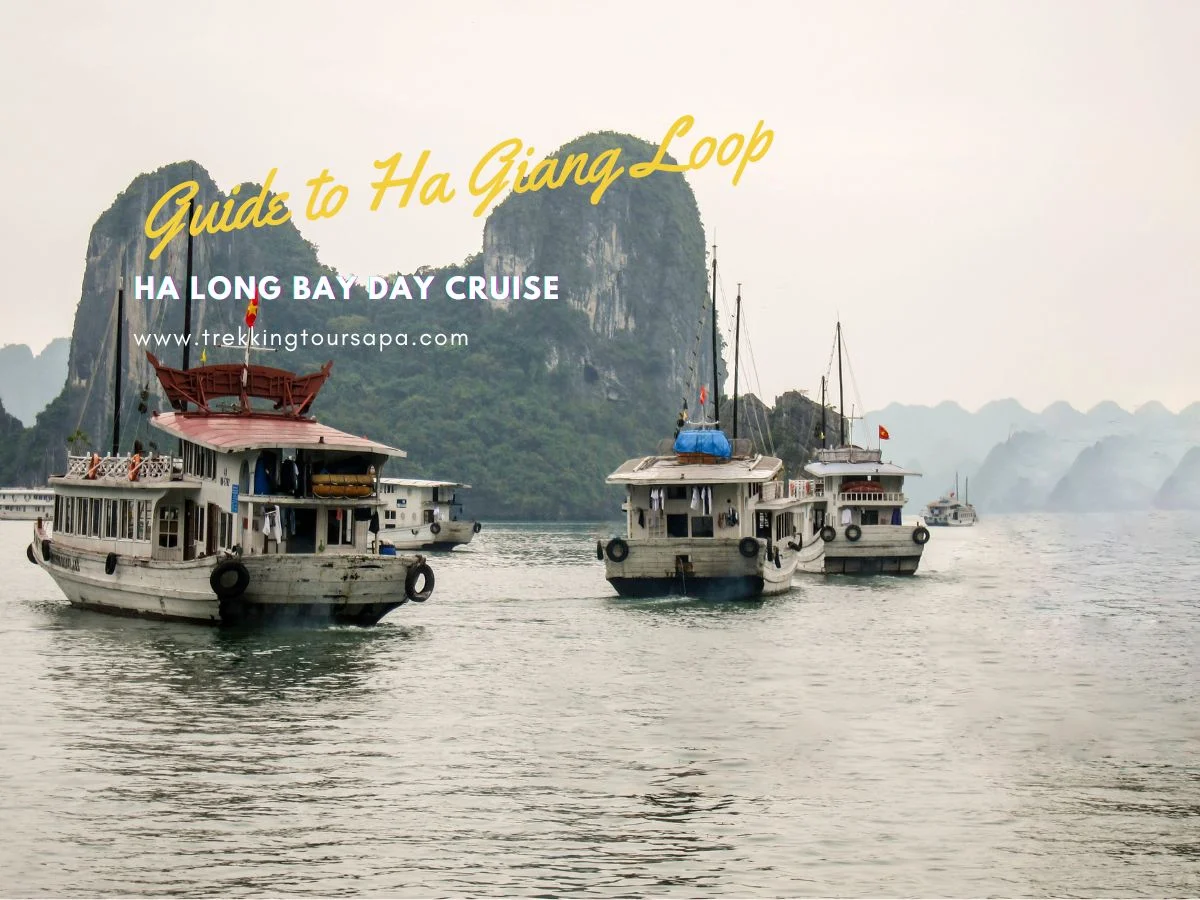 ha long bay day cruise