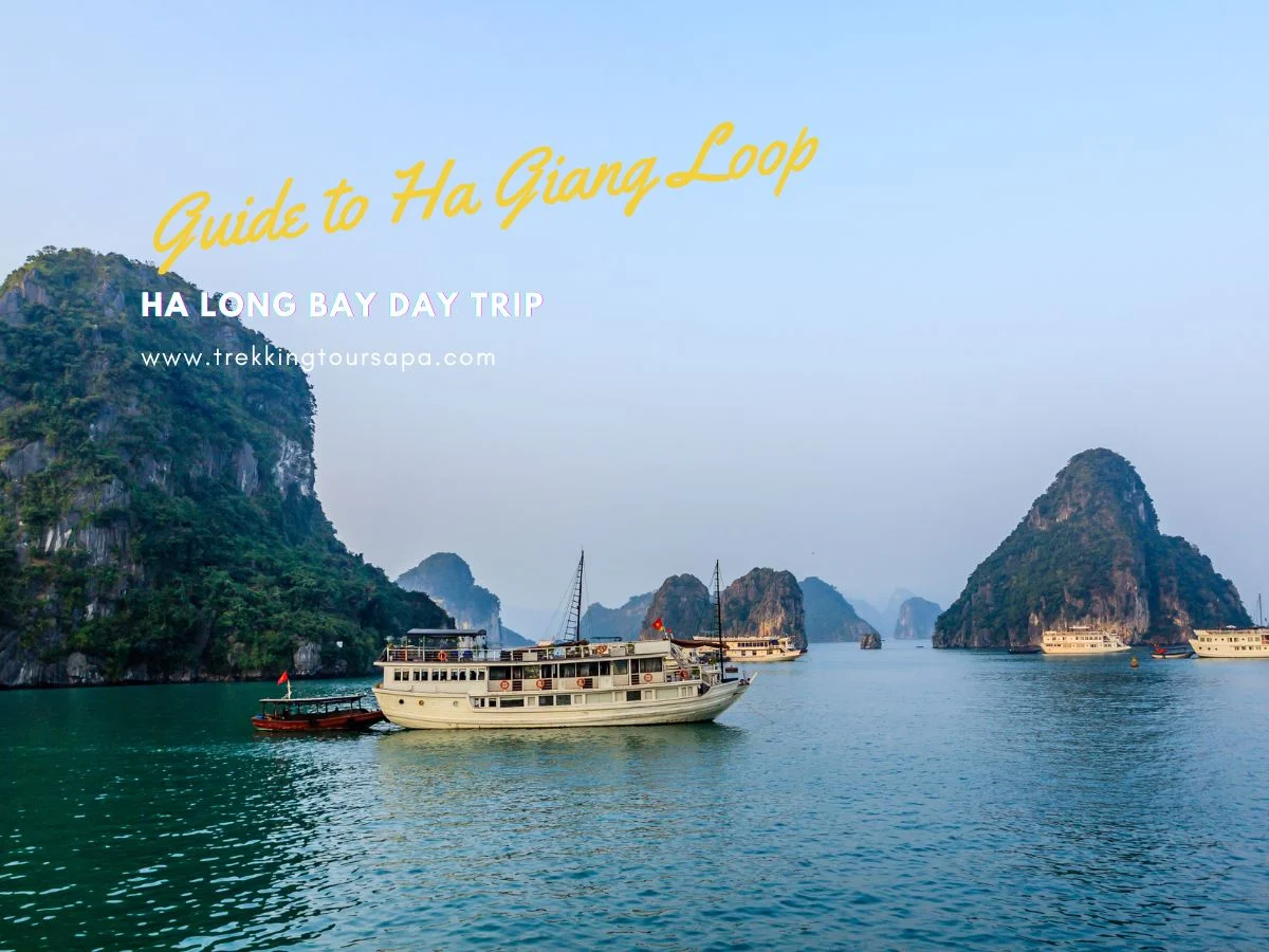 ha long bay day trip