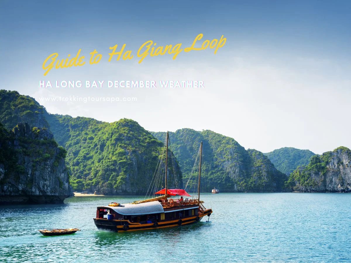 ha long bay december weather