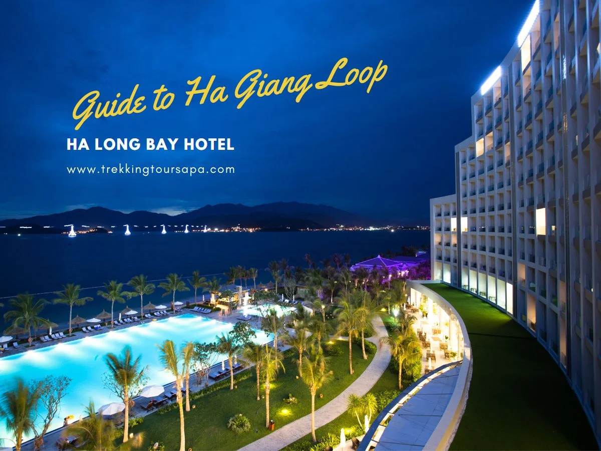 ha long bay hotel