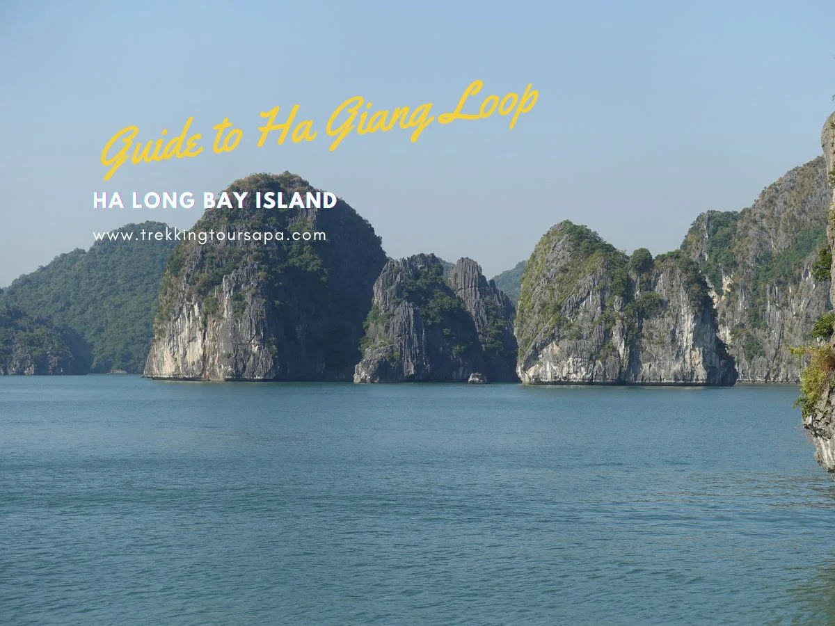 ha long bay island