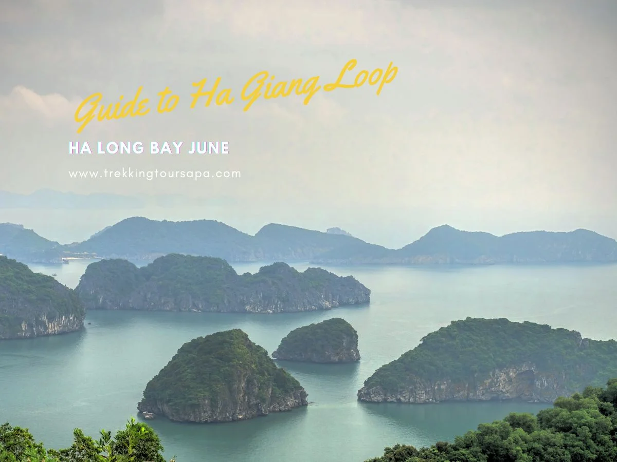 ha long bay june