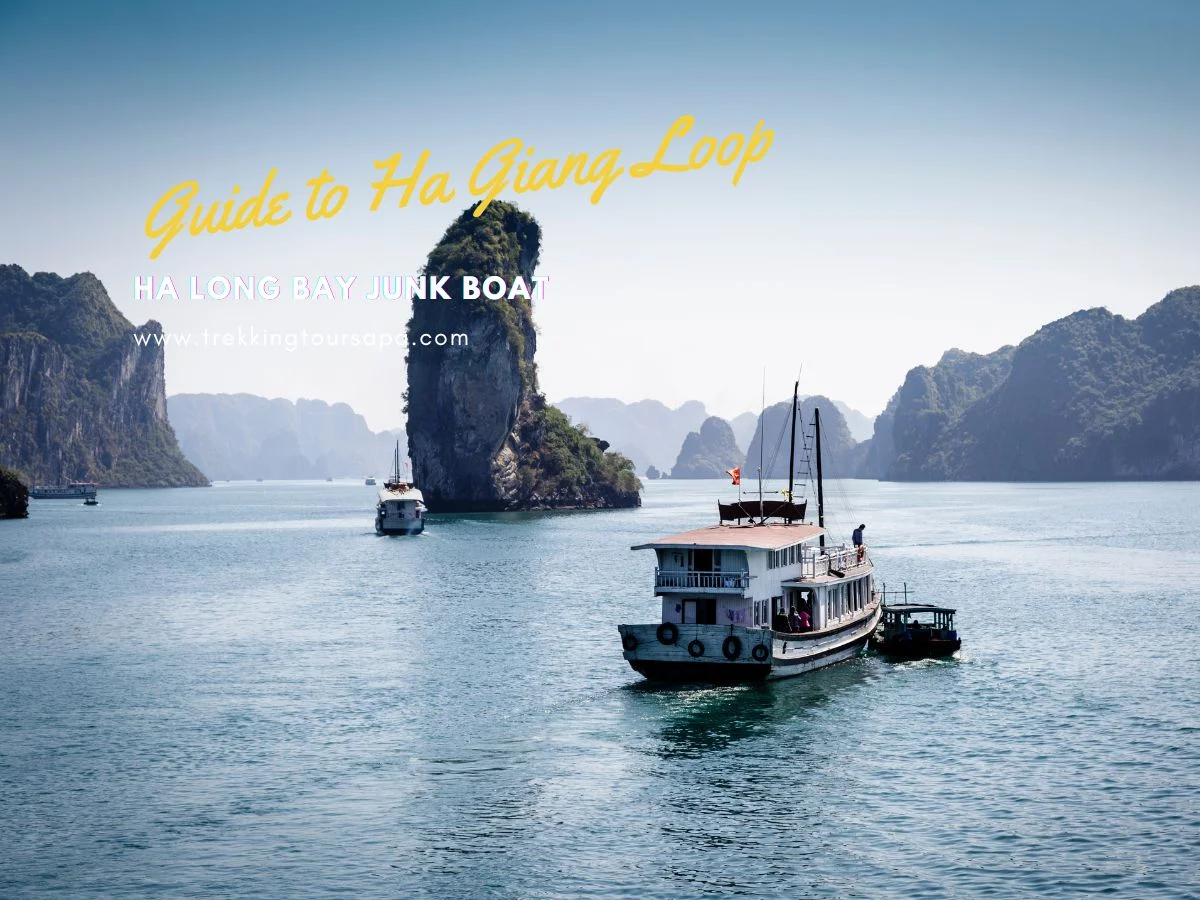 ha long bay junk boat