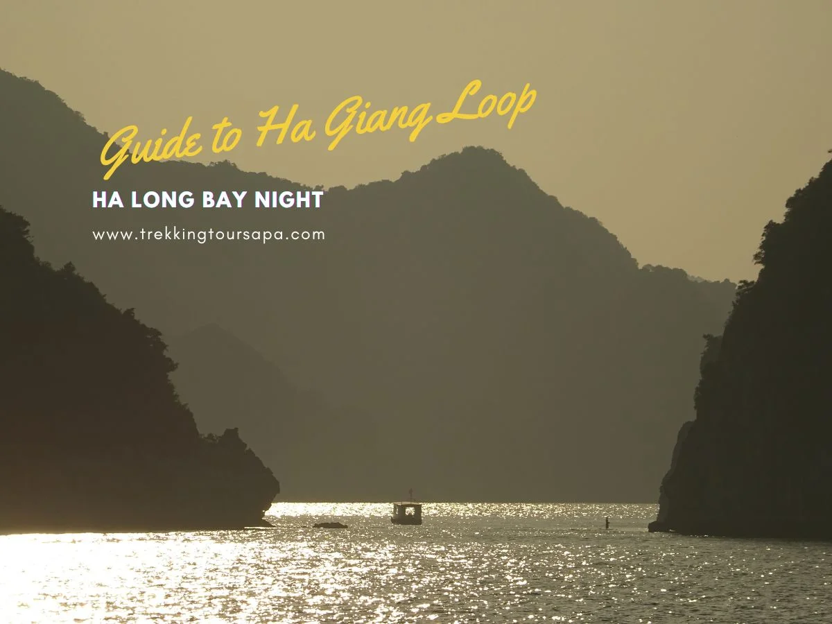 ha long bay night