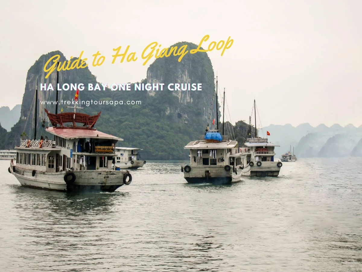 ha long bay one night cruise