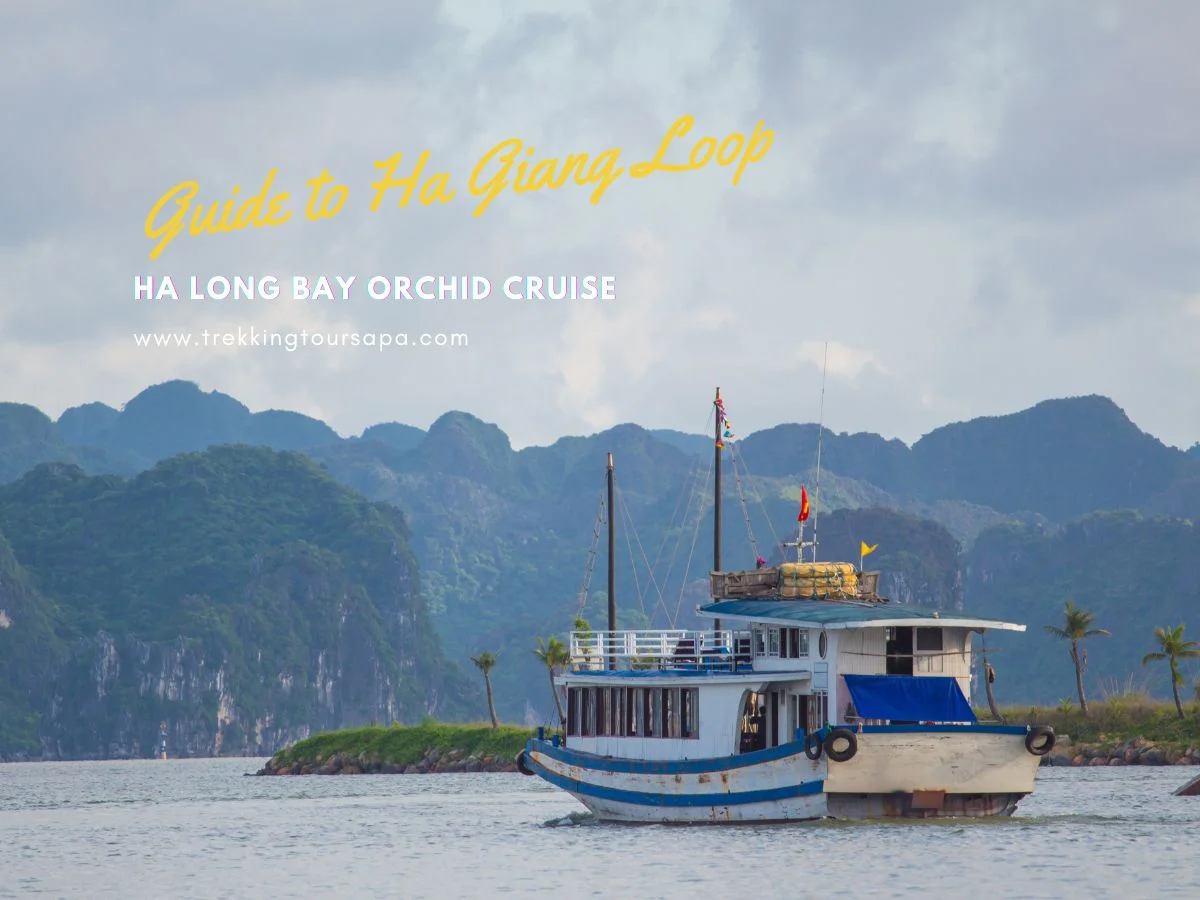 ha long bay orchid cruise