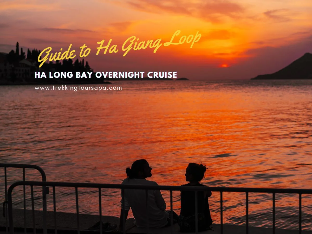 ha long bay overnight cruise