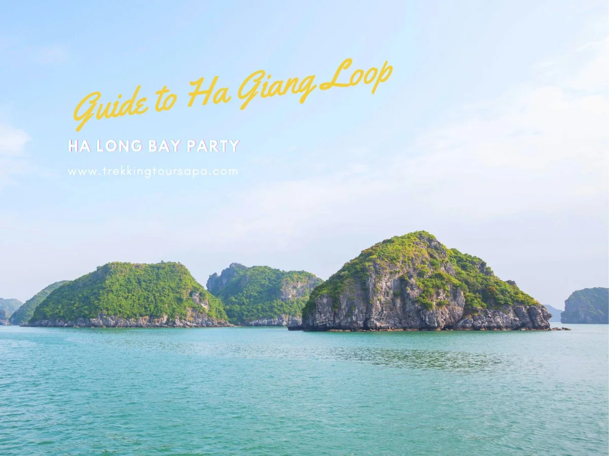 ha long bay party