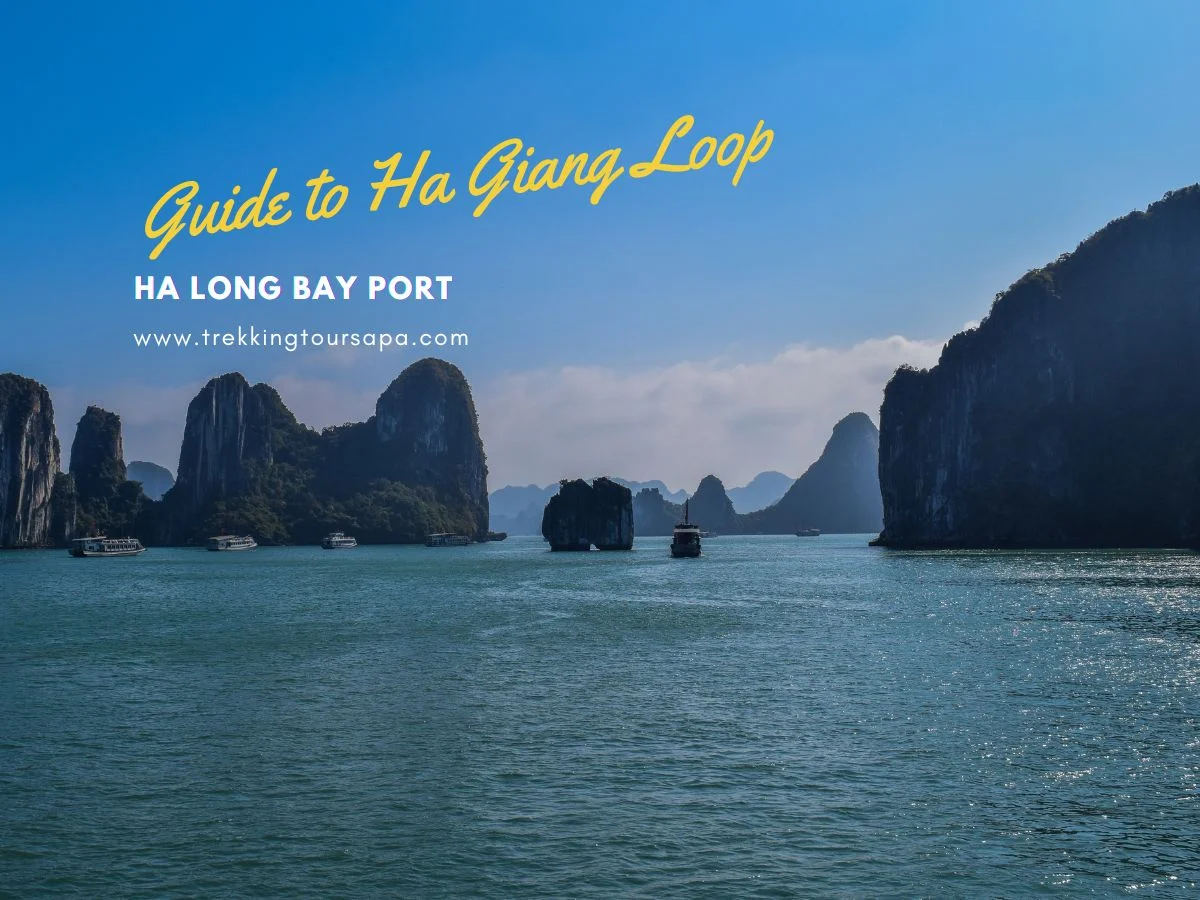 ha long bay port