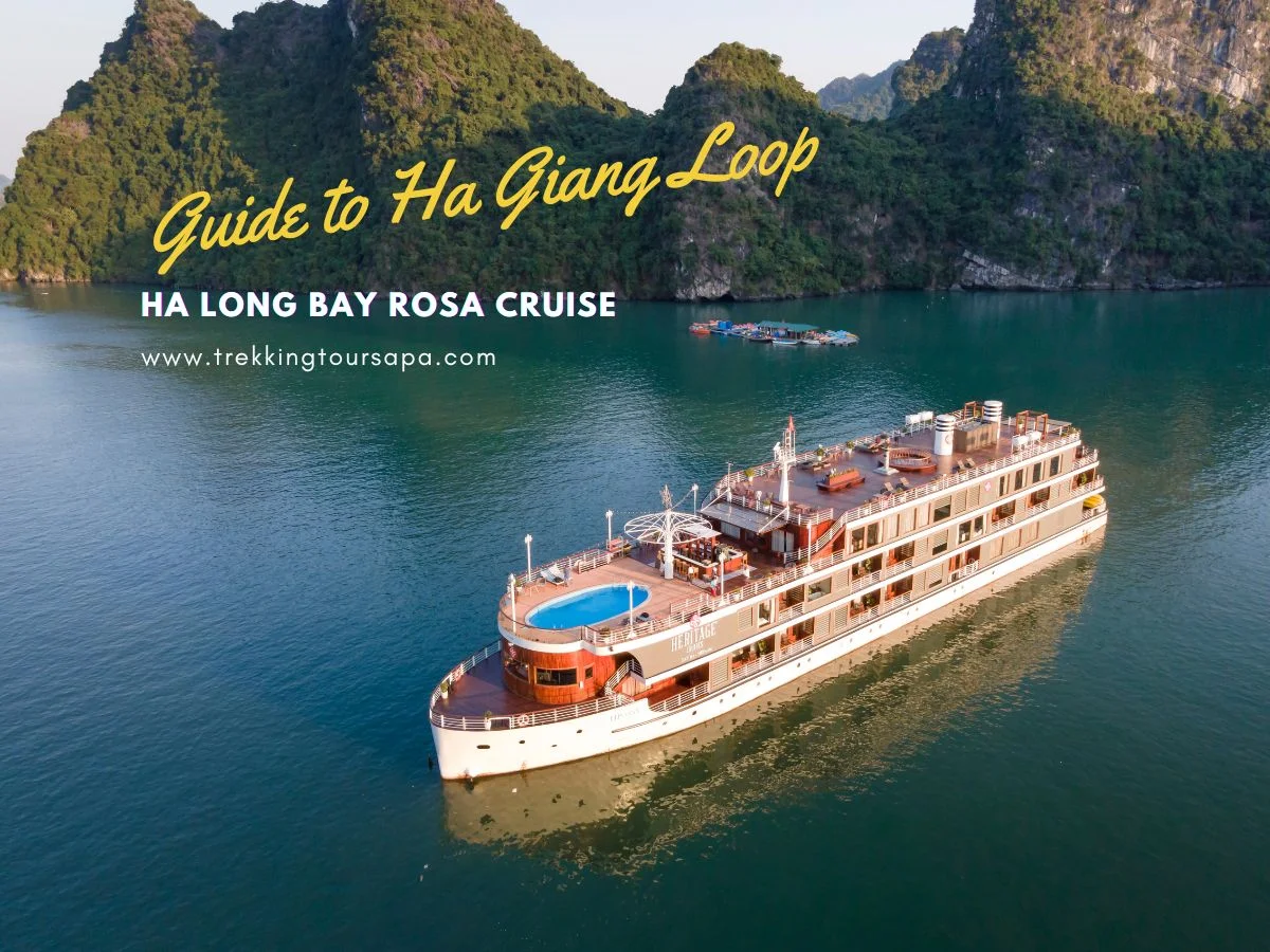 ha long bay rosa cruise