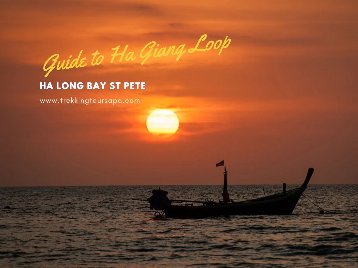 ha long bay st pete