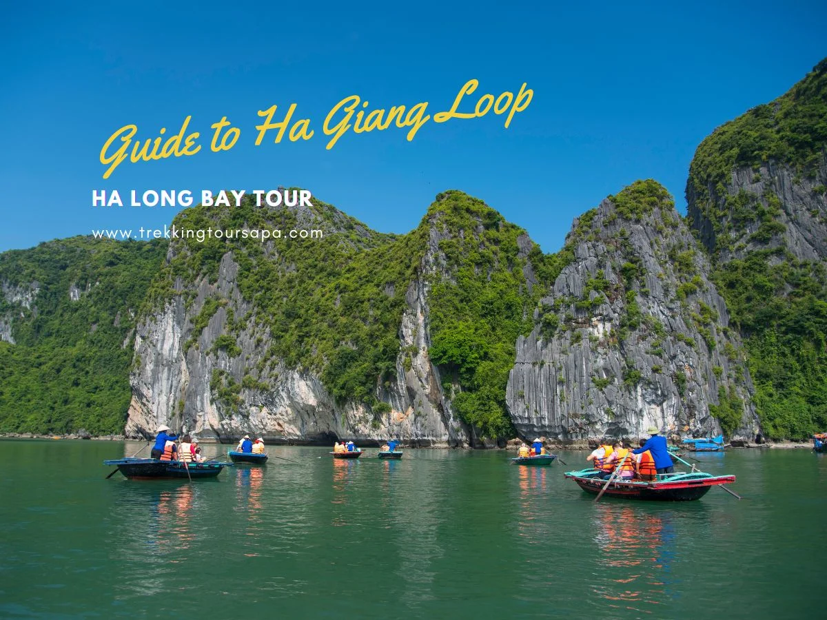 ha long bay tour