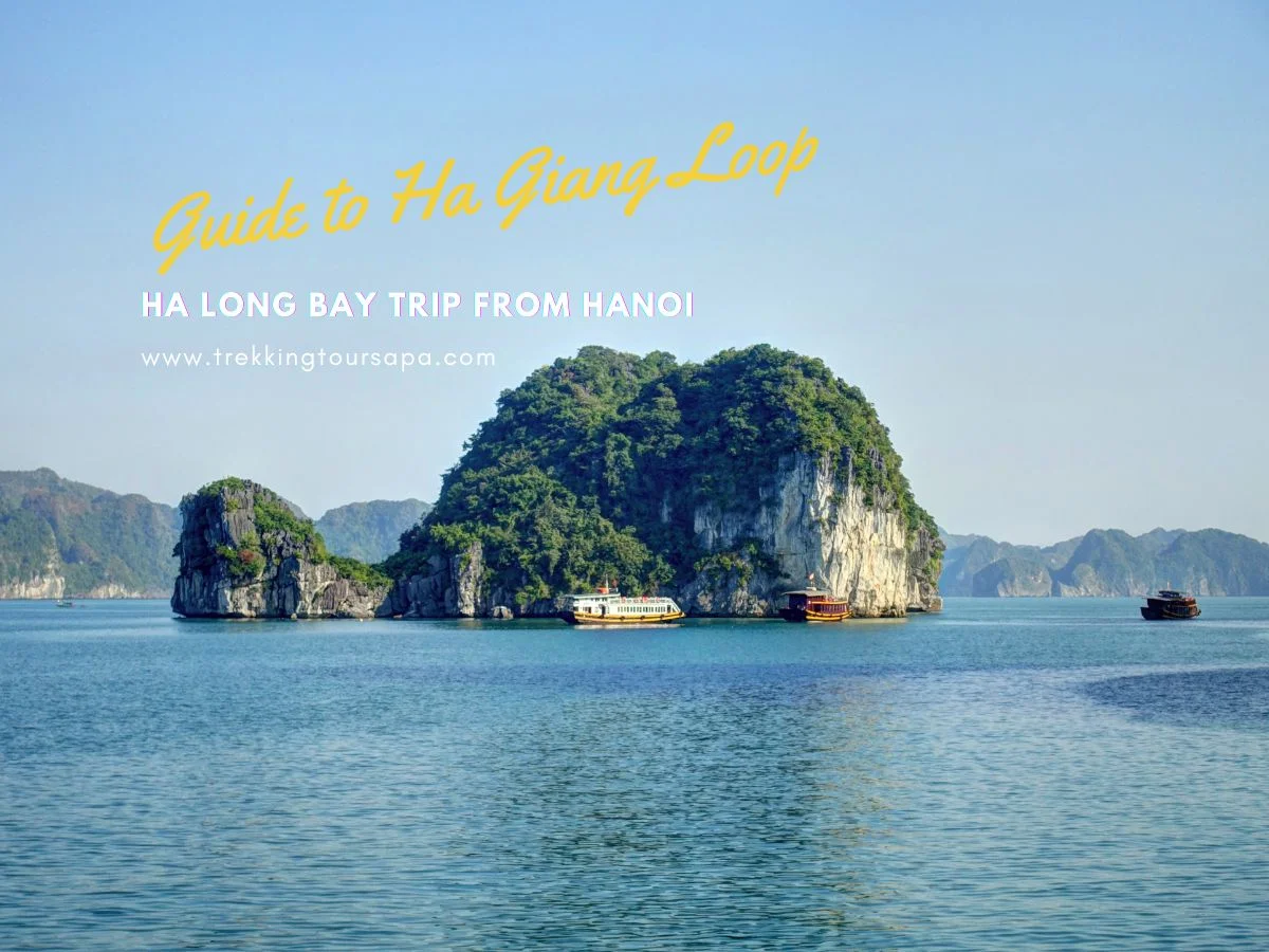 ha long bay trip from hanoi