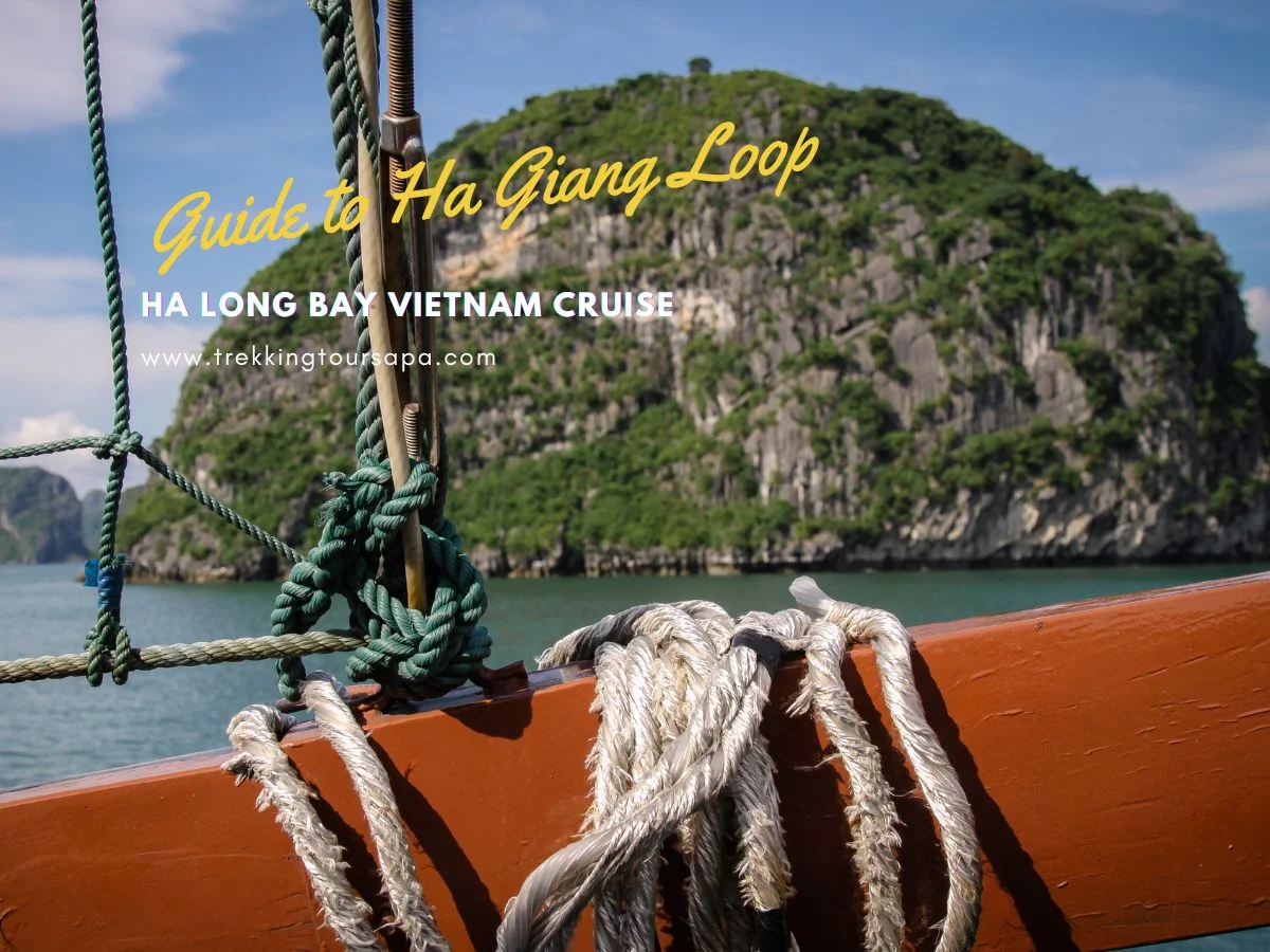 ha long bay vietnam cruise