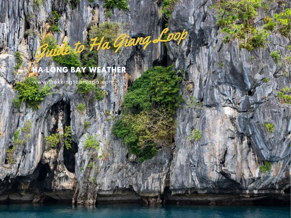 ha long bay weather