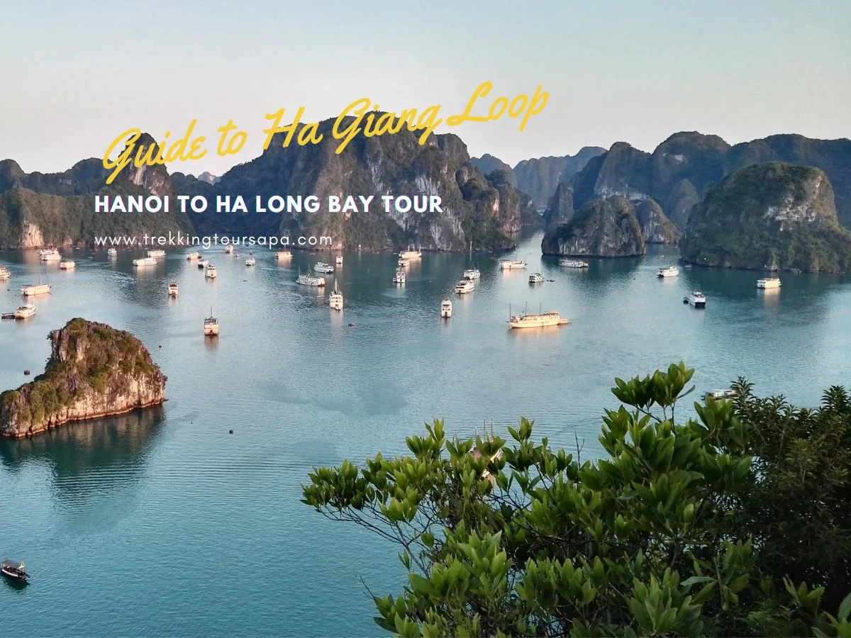 hanoi to ha long bay tour