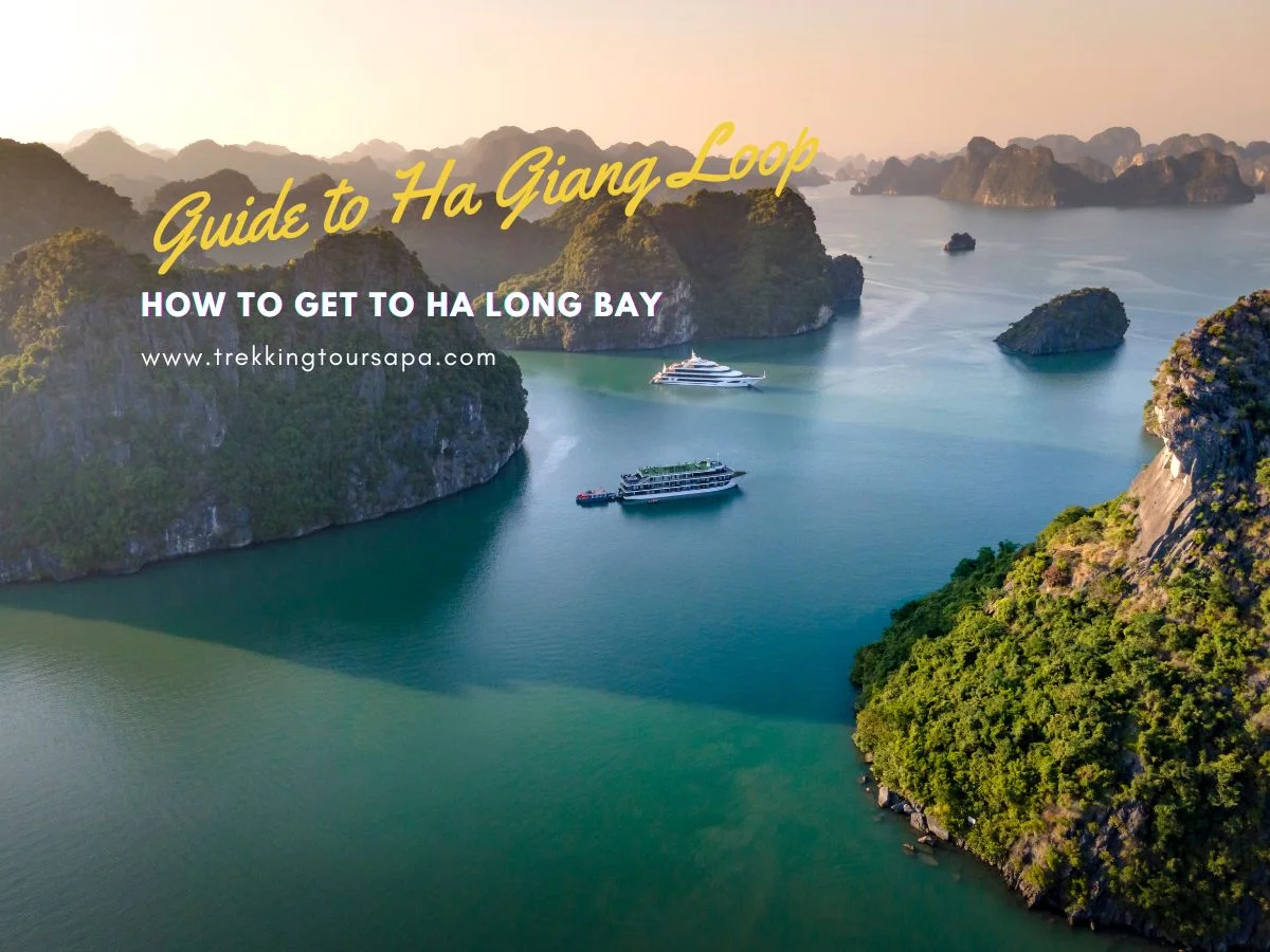 how to get to ha long bay