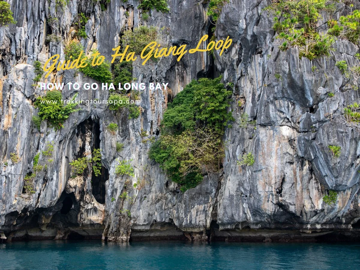 how to go ha long bay