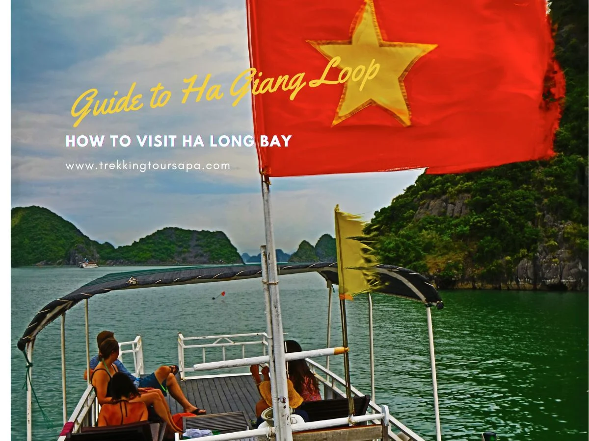 how to visit ha long bay