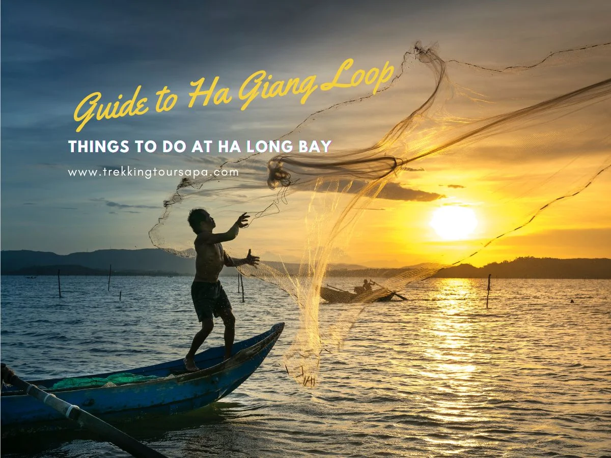 things to do at ha long bay