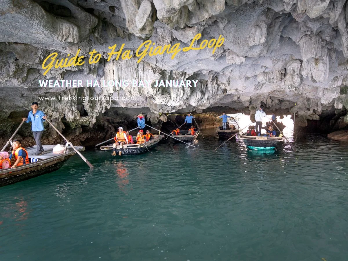 weather ha long bay january