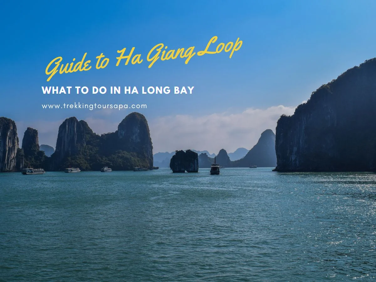 what to do in ha long bay