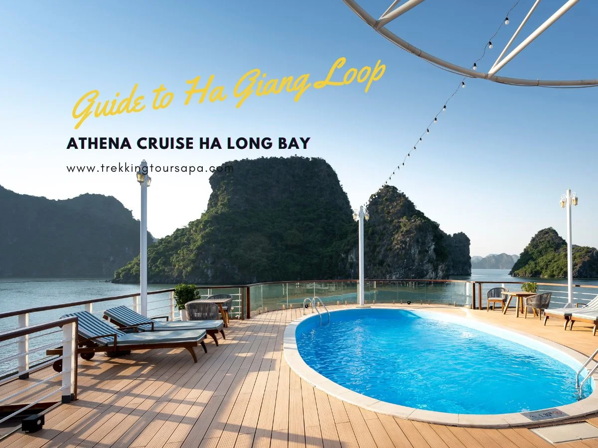 athena cruise ha long bay