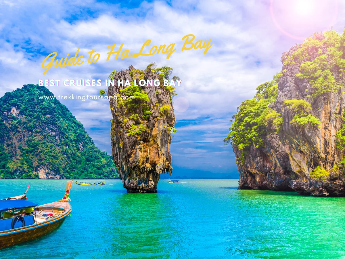 best cruises in ha long bay